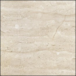 Gạch lát sàn Trường Thịnh WALL TILES TT3603